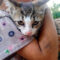 Mittens