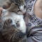 Mittens