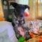 Oddy