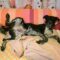 Oddy