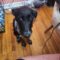 Oddy