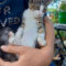 Mittens
